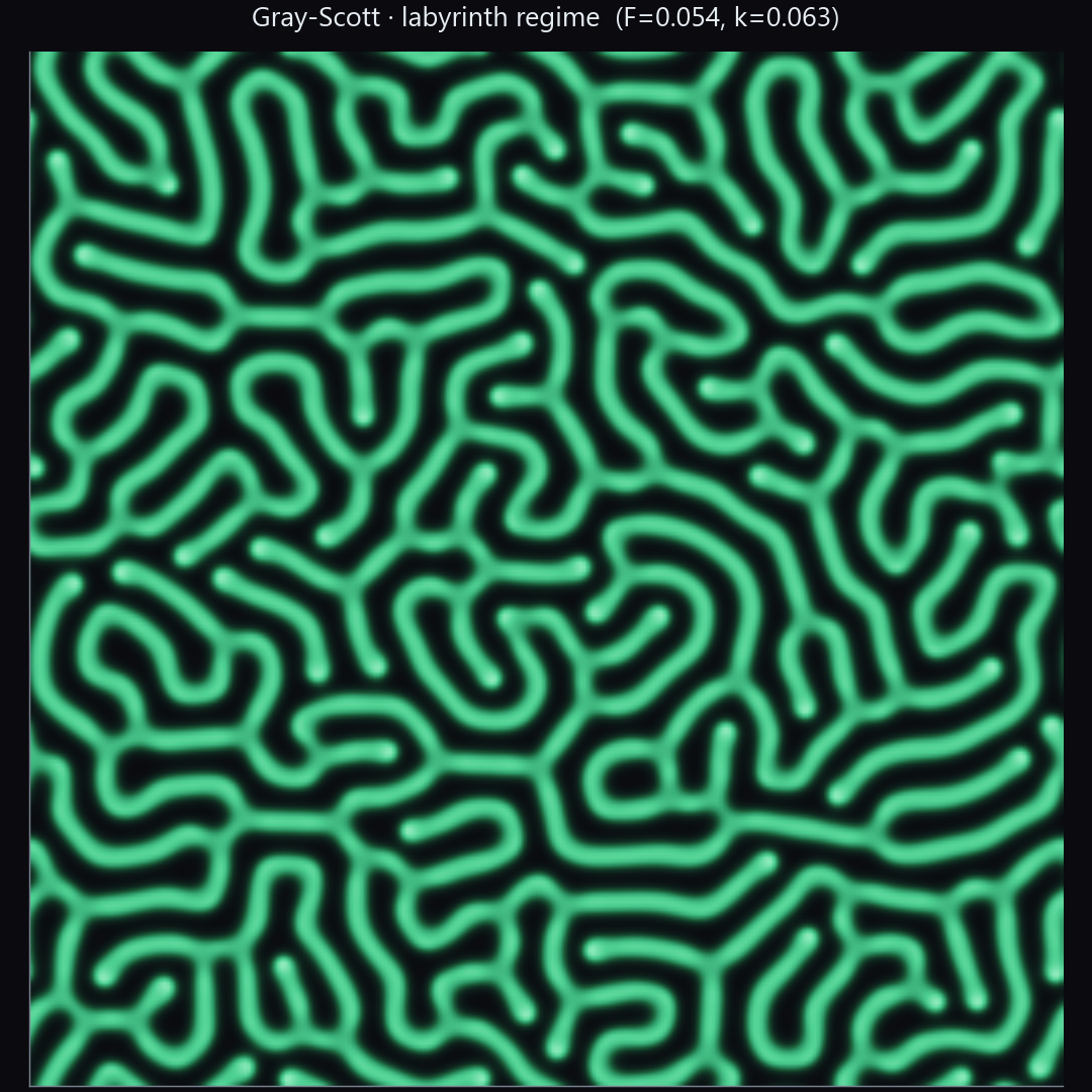Gray-Scott reaction-diffusion labyrinth pattern in the v field on a 256x256 periodic grid, rendered in a green phthalo colormap.